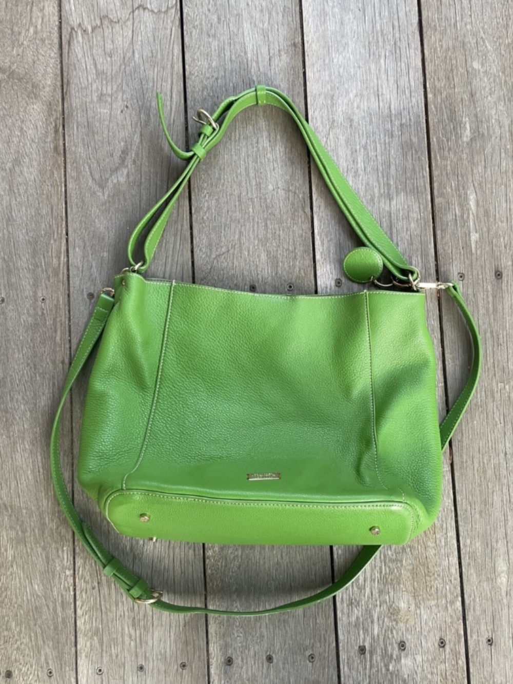 Frances Valentine Green Crossbody Bag